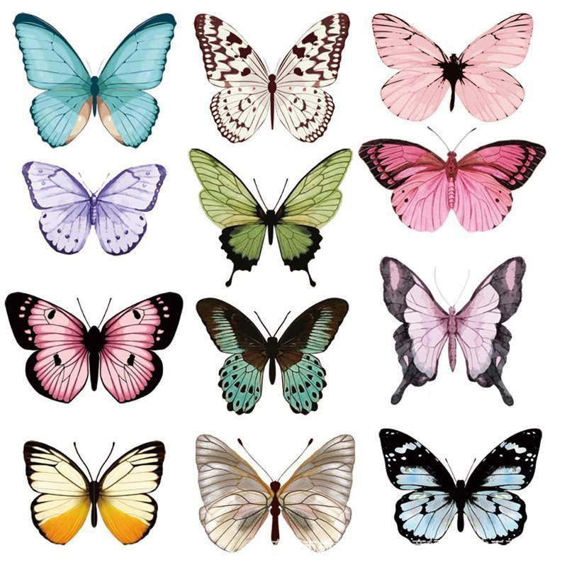 12 Stück 3D-Schmetterlings-Wan – Art Craft Earth Day Bewertung und Preis